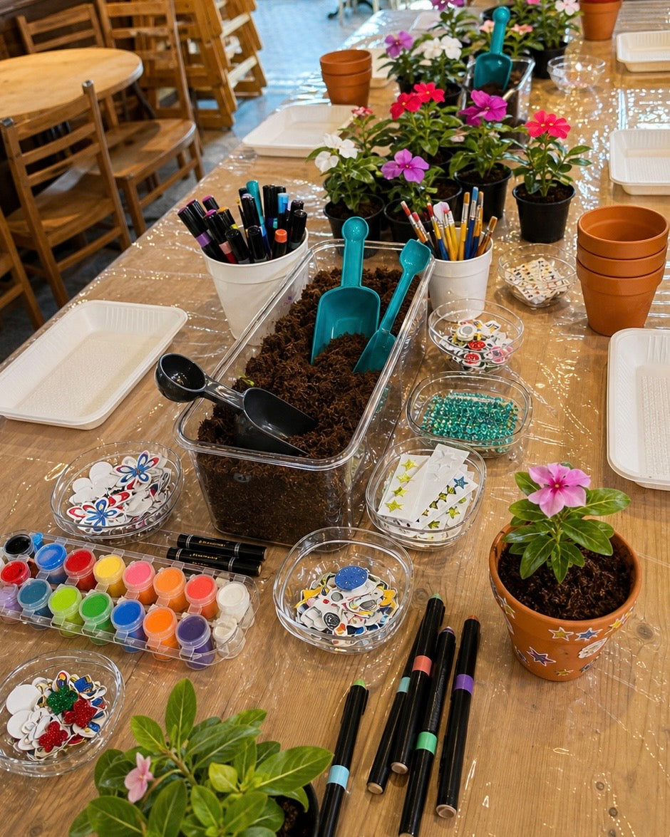 Pot Decoration & Planting