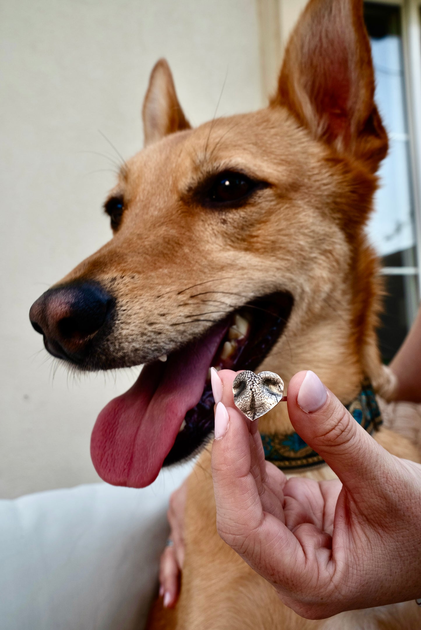 Pet Print Ring