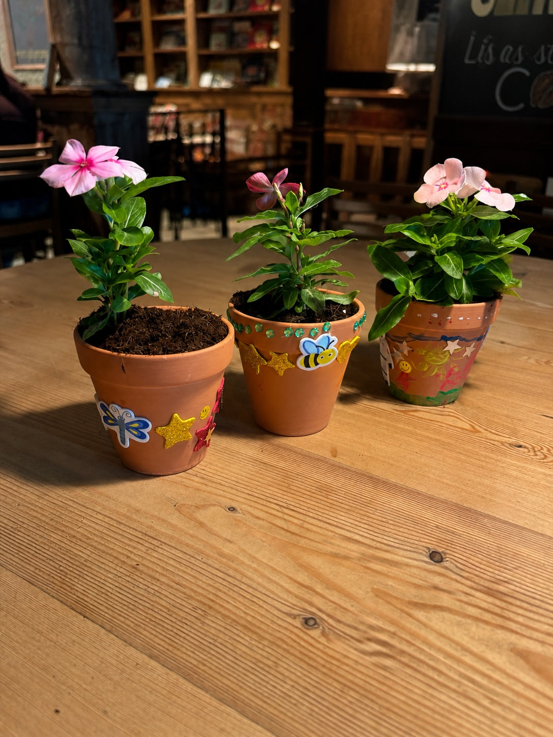 Pot Decoration & Planting