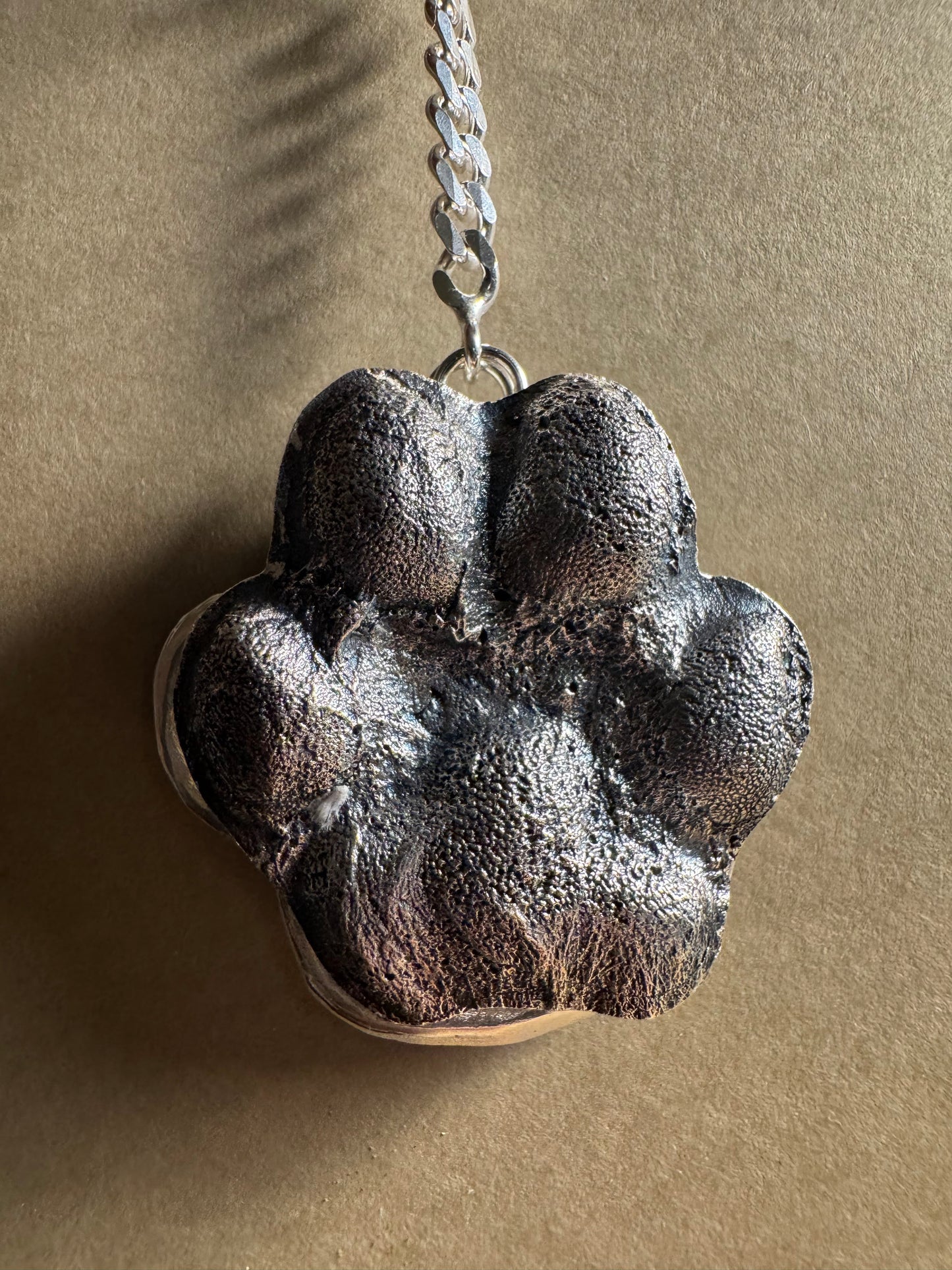 Full Paw Imprint
